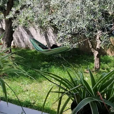 Green *